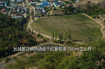 長(zhǎng)城解百納特選級(jí)干紅葡萄酒 750ml怎么樣