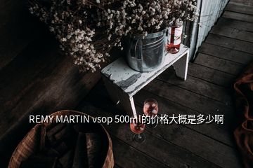 REMY MARTIN vsop 500ml的價格大概是多少啊