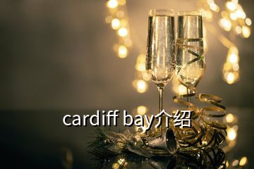 cardiff bay介紹