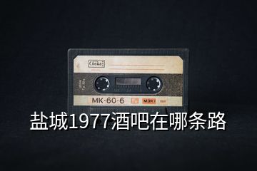 鹽城1977酒吧在哪條路