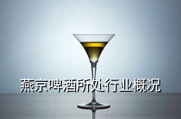 燕京啤酒所處行業(yè)概況