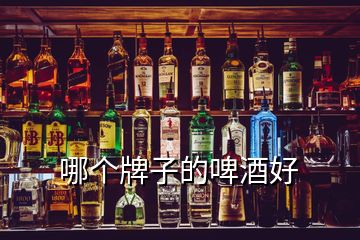 哪個(gè)牌子的啤酒好