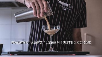 啤酒品牌榜為什么沒(méi)有芝華士拿破侖啊他倆屬于什么檔次和百威