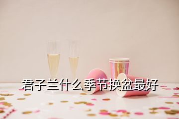 君子蘭什么季節(jié)換盆最好