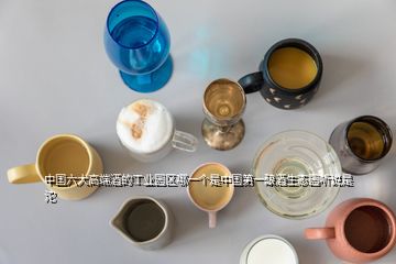 中國六大高端酒的工業(yè)園區(qū)哪一個是中國第一釀酒生態(tài)園聽說是沱