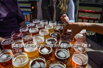 福醬53度貴州茅臺酒廠保健酒業(yè)有限公司這個大概多少錢啊