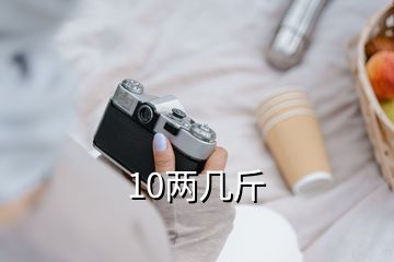 10兩幾斤