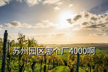 蘇州園區(qū)哪個(gè)廠4000啊