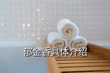 郁金香具體介紹