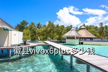 徽縣vivox6plus多少錢