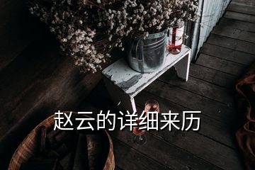 趙云的詳細來歷