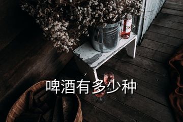 啤酒有多少種