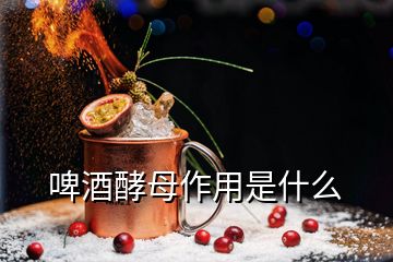 啤酒酵母作用是什么