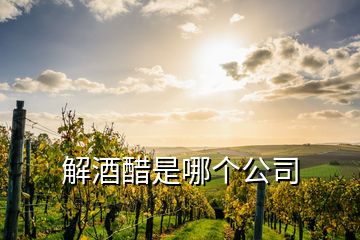 解酒醋是哪個公司