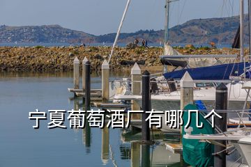 寧夏葡萄酒廠有哪幾個(gè)