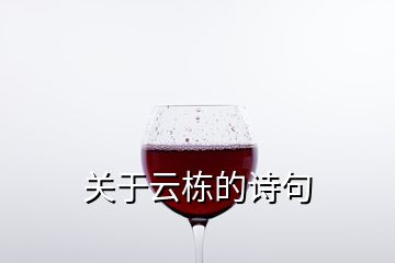 關于云棟的詩句