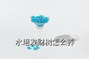 水培發(fā)財(cái)樹(shù)怎么養(yǎng)