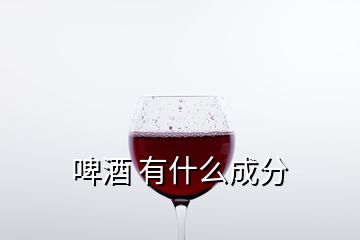 啤酒 有什么成分