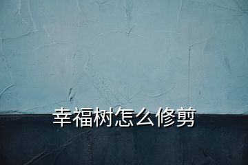 幸福樹怎么修剪