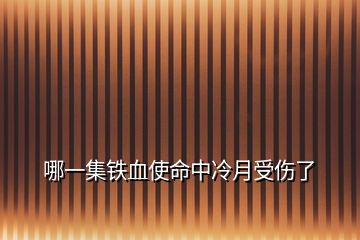 哪一集鐵血使命中冷月受傷了