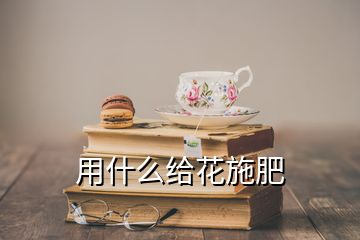 用什么給花施肥