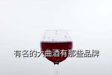 有名的大曲酒有那些品牌