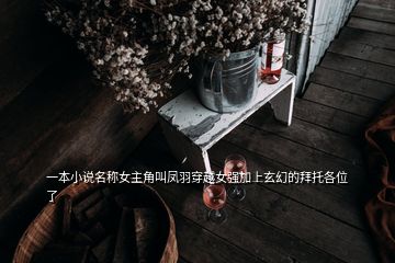 一本小說(shuō)名稱女主角叫鳳羽穿越女強(qiáng)加上玄幻的拜托各位了