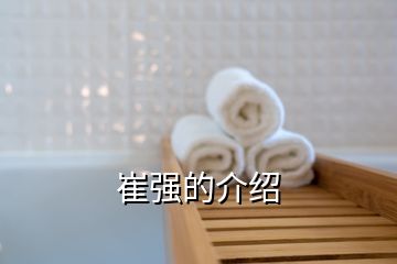 崔強(qiáng)的介紹