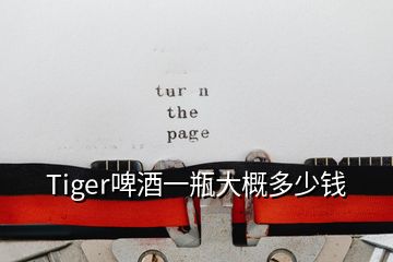 Tiger啤酒一瓶大概多少錢