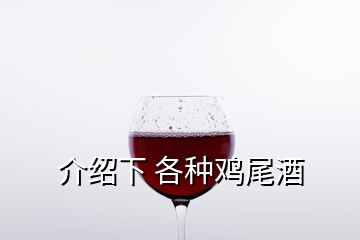 介紹下 各種雞尾酒