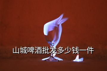 山城啤酒批發(fā)多少錢一件