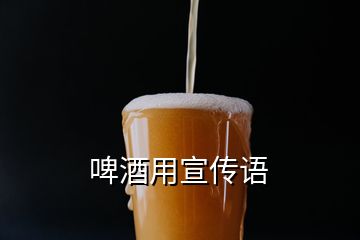 啤酒用宣傳語(yǔ)