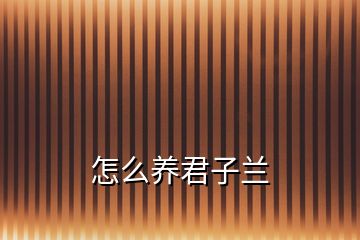 怎么養(yǎng)君子蘭