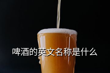 啤酒的英文名稱(chēng)是什么