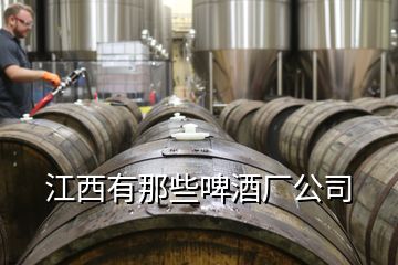 江西有那些啤酒廠公司