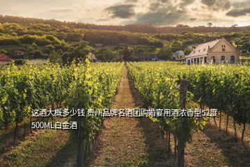 這酒大概多少錢 貴州品牌名酒團(tuán)購(gòu)婚宴用酒濃香型52度500ML白金酒