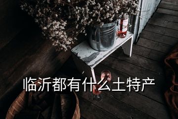 臨沂都有什么土特產