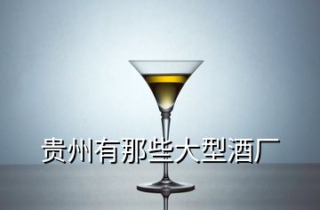 貴州有那些大型酒廠