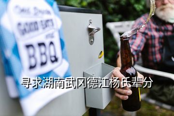 尋求湖南武岡德江楊氏輩分