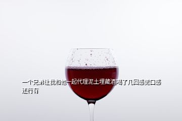 一個(gè)兄弟讓我和他一起代理泥土埋藏酒喝了幾回感覺口感還行有