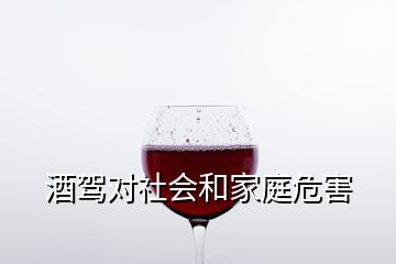 酒駕對(duì)社會(huì)和家庭危害