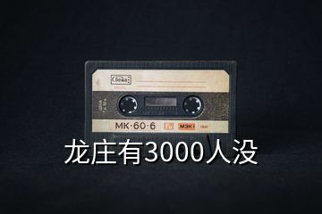 龍莊有3000人沒(méi)