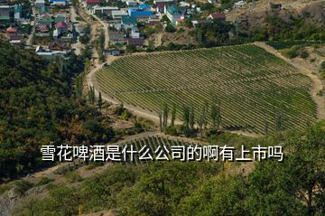 雪花啤酒是什么公司的啊有上市嗎