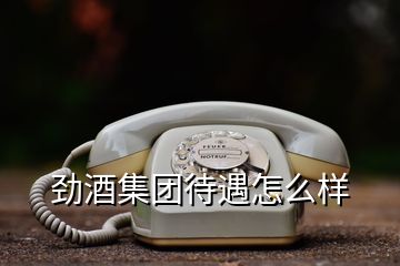 勁酒集團待遇怎么樣