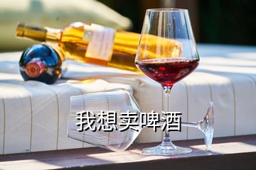 我想賣(mài)啤酒