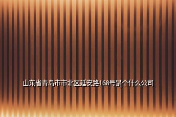 山東省青島市市北區(qū)延安路168號(hào)是個(gè)什么公司