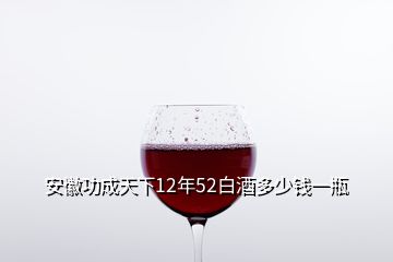 安徽功成天下12年52白酒多少錢(qián)一瓶