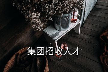 集團(tuán)招收人才