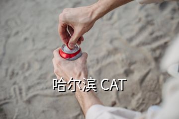 哈爾濱 CAT