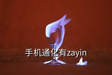 手機通化有zayin